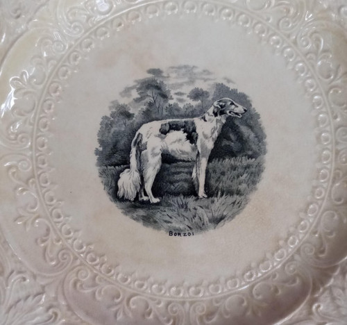 Borzoi dog plate - borzoi, cauldon